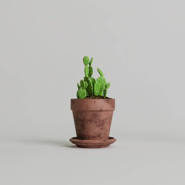 Beyaz arka planda izole edilmiş 3D terracotta ev bitkileri