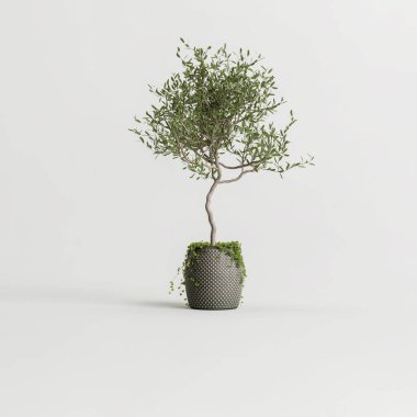 3d illustration of concrete houseplants isolated on white background