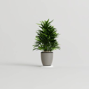 3d illustration of houseplants isolated on white background