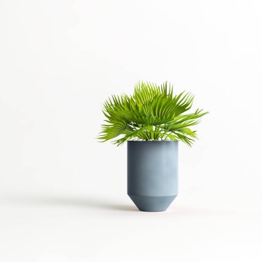 Beyaz arkaplanda izole edilmiş seramik ev bitkilerinin 3d çizimi