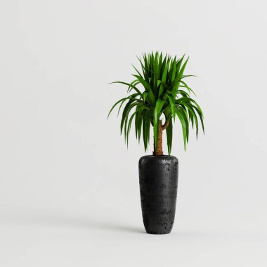 Beyaz arka planda izole edilmiş siyah ev bitkilerinin 3D çizimi