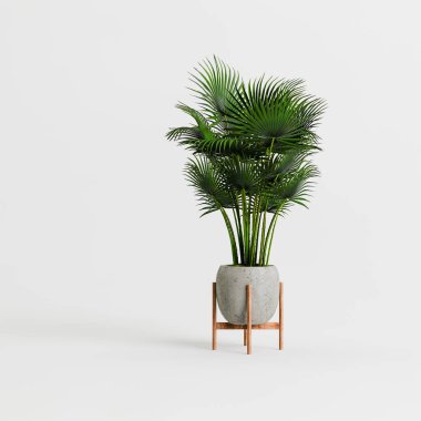 Beyaz arka planda izole edilmiş üç boyutlu beton ev bitkileri