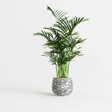 Beyaz arkaplanda izole edilmiş seramik ev bitkilerinin 3d çizimi