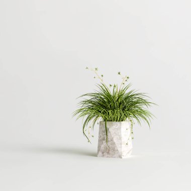 Beyaz arka planda izole edilmiş ev bitkilerinin 3D çizimi