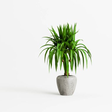 Beyaz arka planda izole edilmiş üç boyutlu beton ev bitkileri