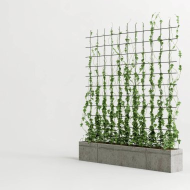 3d illustration of concrete plant tub with creeper isolated on white background