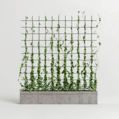 3d illustration of concrete plant tub with creeper isolated on white background