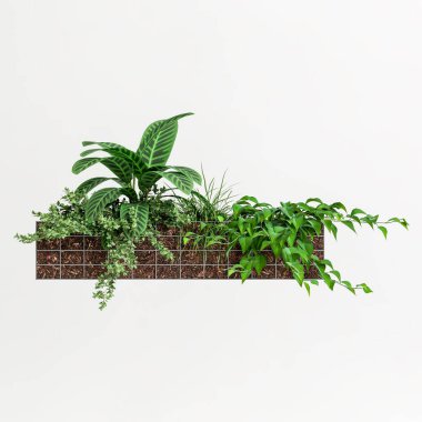 3d illustration of plant tub wall isolated on white background