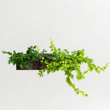 3d illustration of plant tub wall isolated on white background