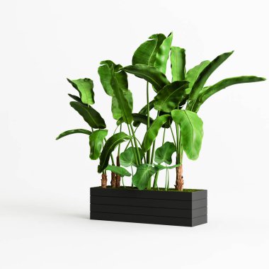 Beyaz arkaplanda izole edilmiş bir ağaç siyah çanağının 3D çizimi