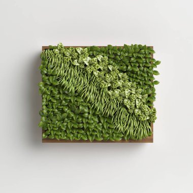 3d illustration  wall trees isolated on white background