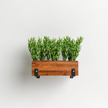 3D illüstrasyon duvarı beyaz arka planda izole edilmiş saksı sebzesi