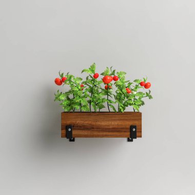 3D illüstrasyon duvarı beyaz arka planda izole edilmiş saksı sebzesi