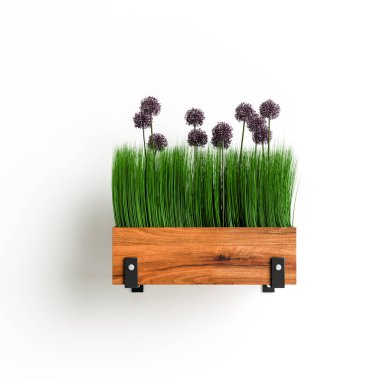 3D illüstrasyon duvarı beyaz arka planda izole edilmiş saksı sebzesi