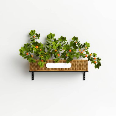 3D illüstrasyon duvarı beyaz arka planda izole edilmiş saksı sebzesi