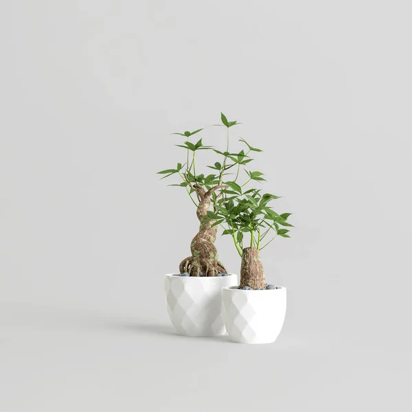 Illustration Two Bonsai Tree Isolated White Background — 图库照片