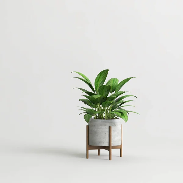 Illustration Concrete Houseplants Isolated White Background — 图库照片