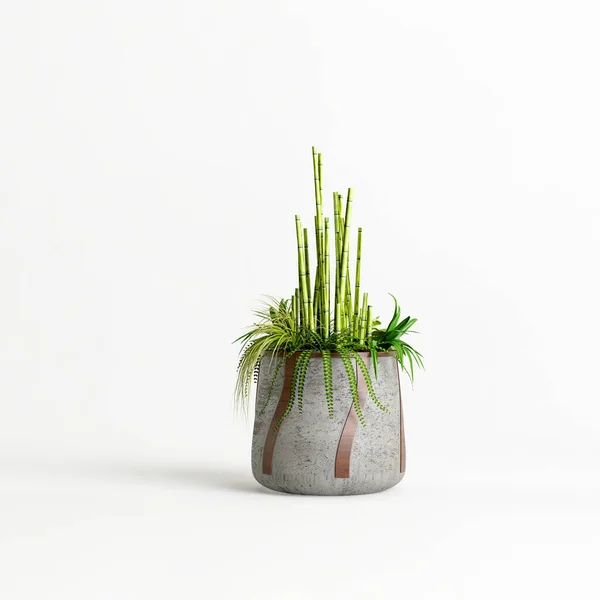 Illustration Concrete Houseplants Isolated White Background — Fotografia de Stock