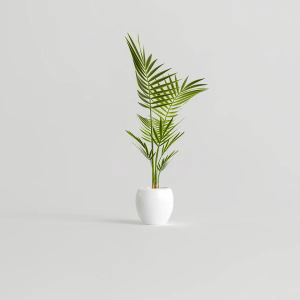 白色背景下孤立的陶瓷室内植物3D图解 — 图库照片