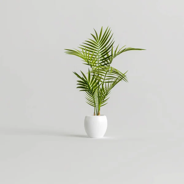 Illustration Ceramic Houseplants Isolated White Background — Stock Photo, Image