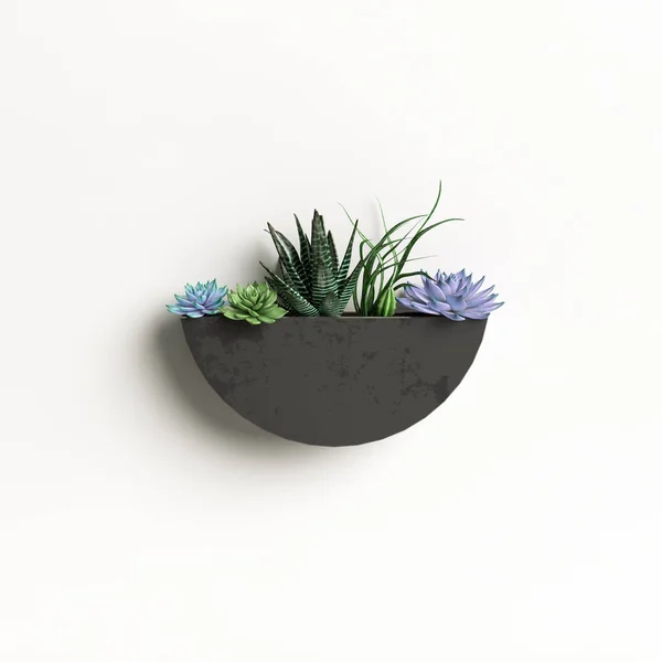 Illustration Wall Potted Plant Isolated White Background — Stock Photo, Image