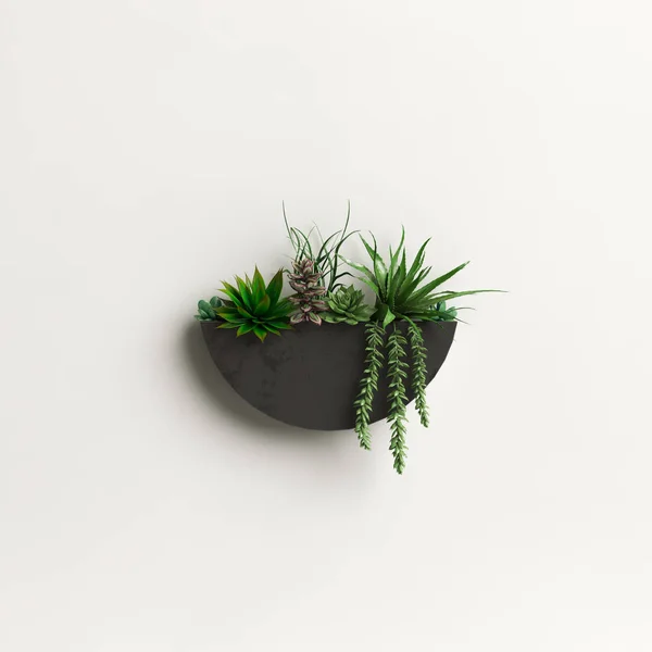三维插图墙盆栽植物 白色背景隔离 — 图库照片