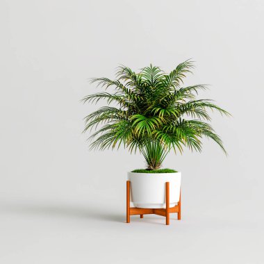 Beyaz arka planda izole edilmiş saksı bitkilerinin 3D çizimi