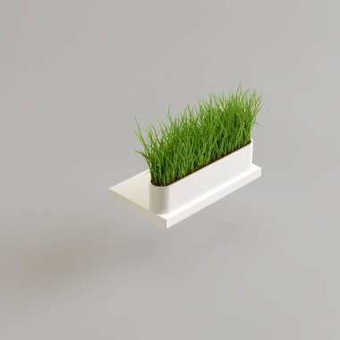 Beyaz arka planda izole edilmiş beyaz saksıdaki çimlerin 3D çizimi