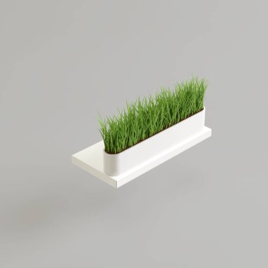 Beyaz arka planda izole edilmiş beyaz saksıdaki çimlerin 3D çizimi