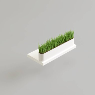 Beyaz arka planda izole edilmiş beyaz saksıdaki çimlerin 3D çizimi