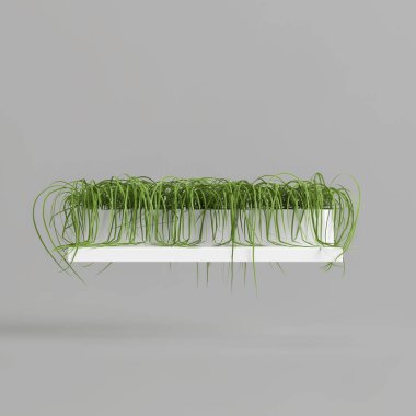 Beyaz arka planda izole edilmiş beyaz saksıdaki çimlerin 3D çizimi