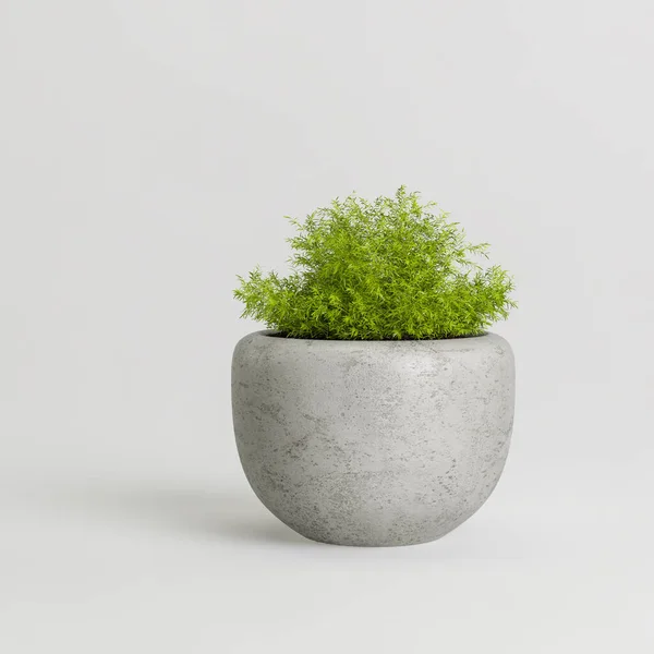 Illustration Une Plante Béton Mise Pot Isolée Sur Fond Blanc — Photo