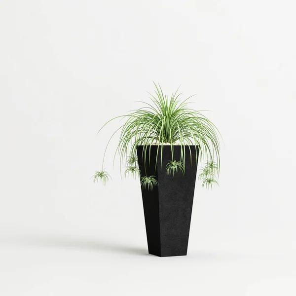 白色背景上孤立的黑色盆栽植物三维图解 — 图库照片