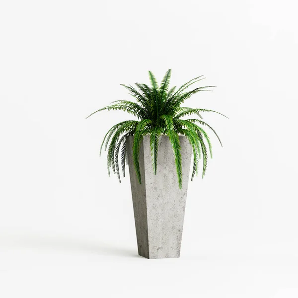 白色背景下孤立的混凝土盆栽中植物的三维图解 — 图库照片