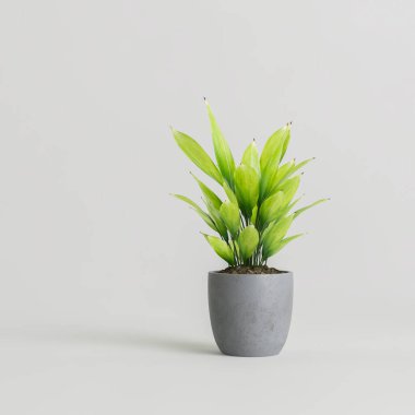 Modern saksıda beyaz arka planda izole edilmiş ev bitkisinin 3D çizimi