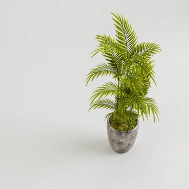 Modern saksılı kuş bakışı ev bitkisinin 3D çizimi