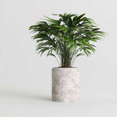 Modern saksıda beyaz arka planda izole edilmiş ev bitkisinin 3D çizimi