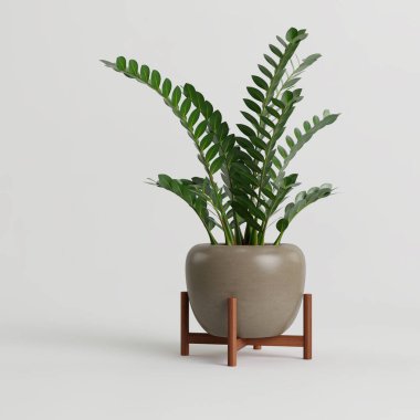 Modern saksıda beyaz arka planda izole edilmiş ev bitkisinin 3D çizimi