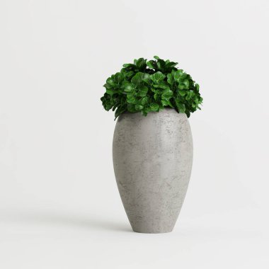 Modern saksıda beyaz arka planda izole edilmiş ev bitkisinin 3D çizimi