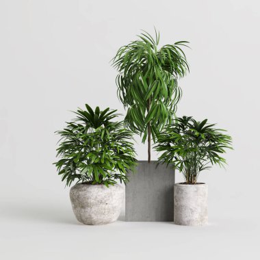 Beyaz arkaplanda izole edilmiş 3d ev bitkisi koleksiyonu