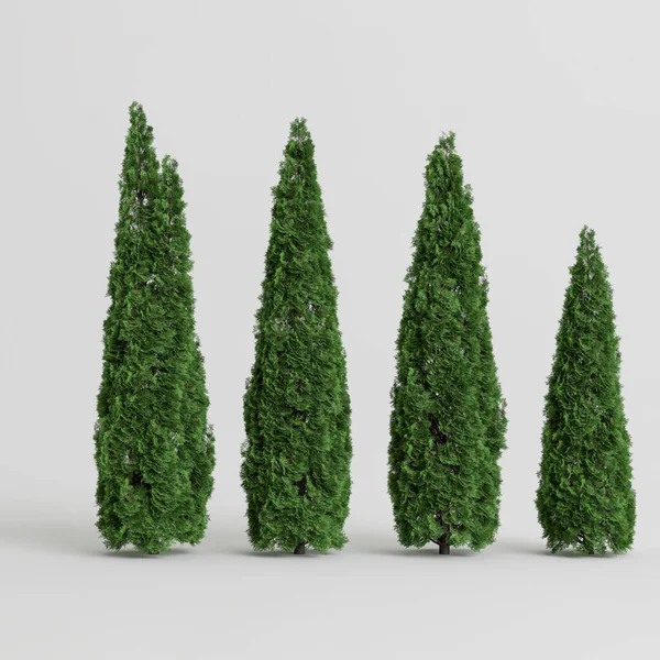 Beyaz arkaplanda izole edilmiş 3d illüstrasyon çalılığı