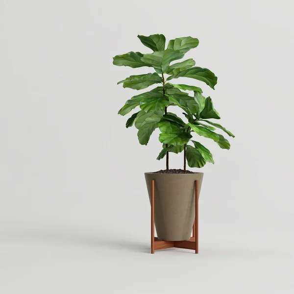 白色背景下现代盆栽室内植物的3D图解 — 图库照片