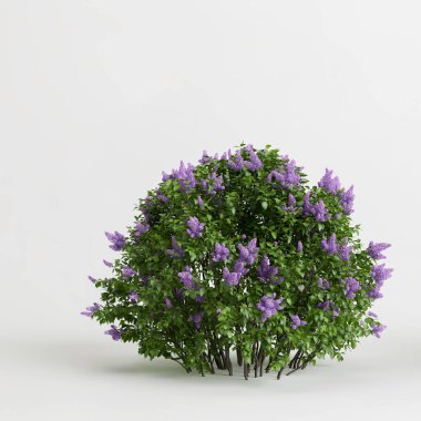 Beyaz arkaplanda izole edilmiş üç boyutlu çalı çizimi