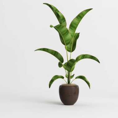 Beyaz arkaplanda izole edilmiş üç boyutlu saksı çizimi