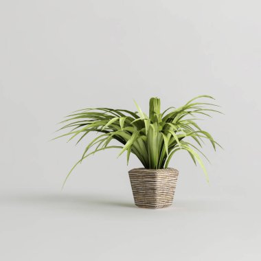 Beyaz arkaplanda izole edilmiş üç boyutlu saksı çizimi