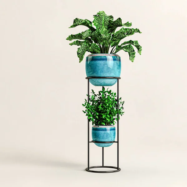 Illustration Plantes Décoratives Isolées Sur Fond Blanc — Photo