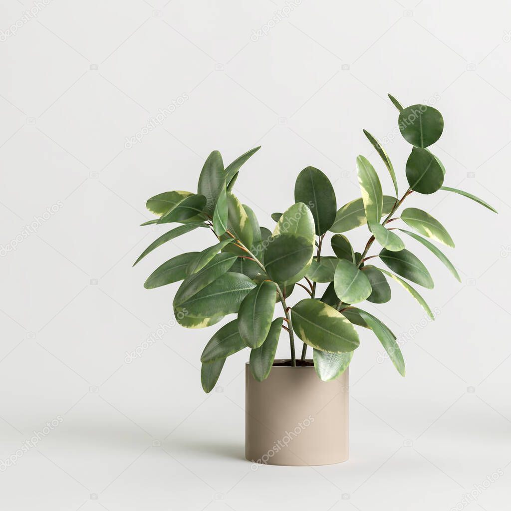 3d illustration of houseplant potted isolated on white background