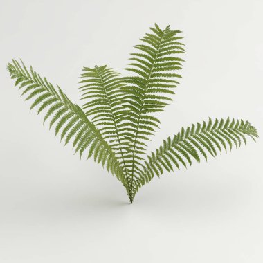 Beyaz arkaplanda kuşbakışı izole edilmiş üç boyutlu fundalıkların çizimi