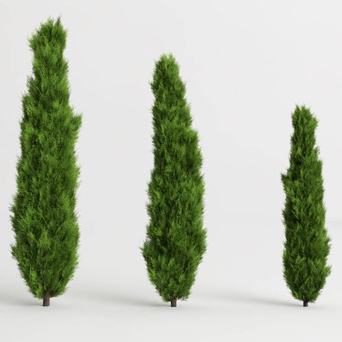 Beyaz arkaplanda izole edilmiş üç çalılığın 3D çizimi