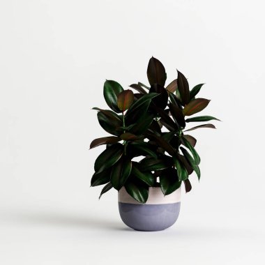 Beyaz arkaplanda izole edilmiş üç boyutlu saksı çizimi